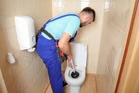 commercial toilet repair